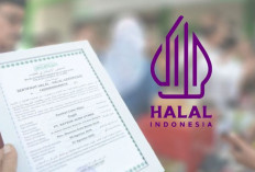 Kesadaran Pelaku Usaha Pangan Urus Sertikasi Halal Terus Meningkat 