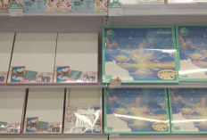 Paint by Number Kit Ramaikan, Hobi Melukis Jadi Lebih Mudah dan Terjangkau
