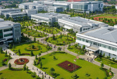 QS WUR 2025: Daftar 20 Kampus Terbaik Dunia, MIT Belum Tertandingi