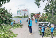 PLN Cepat Pulihkan Listrik Pasca Angin Puting Beliung di Muara Enim Sumsel