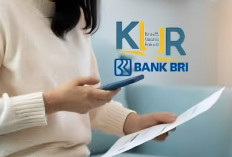 Sisa Plafon KUR 2024 Masih Banyak, Begini Cara dan Syarat Pengajuan KUR BRI Secara Online