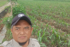 Dua Kelompok Tani di Musi Rawas Terpaksa Ambil Air di Sungai Megang dengan Cara Dipompa