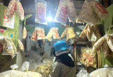 Kerupuk Ikan Palembang Laris di Pasar Inpres