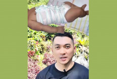 Bayi Tidak Disarankan Dipakai Gurita, Ini Alasannya