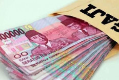 Pusing Liatnya, Nih Dia Perbandingan Gaji CPNS dan PNS 2025, Masih Minat?