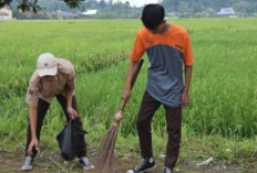 Kekuatan Kolaborasi: Sinergi dalam Interaksi Antar Manusia