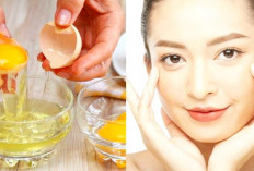 Catat! Inilah 6 Manfaat Masker Putih Telur Bagi kesehatan wajah