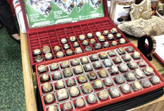 Batu Akik Teratai dari Kabupaten Muratara Menarik Perhatian Masyarakat