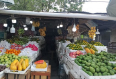 Mau Buah-Buahan Segar dan Berkualitas, Ada di Gerai Buah Pak Irman