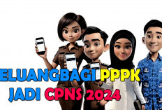 Peluang Terbuka Bagi PPPK Jadi CPNS 2024, Sehingga KemenPAN RB Sampaikan Begini