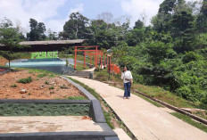 Pisek Kite Wisata Kuliner dan Alam yang Memikat Hati di Musi Rawas