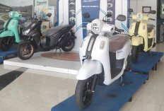 Yamaha Fazzio Hybrid Series  Motor Irit dan Sporty Ready di Lubuk Linggau