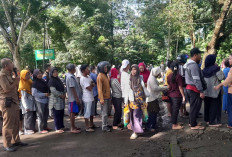 Operasi Bazar Pasar Murah Lubuklinggau, Kurang dari 60 Menit 5 Ton Beras Ludes Terjual
