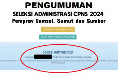 Cek Pengumuman Hasil Administrasi CPNS 2024, Pemprov Sumsel, Sumut dan Sumbar