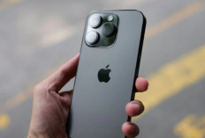 Harga iPhone 15 Terbaru 2026 Makin Terjangkau, Turun Hingga Rp 1 Juta