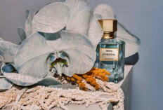 Berikut 4 Rekomendasi Parfum dengan Aroma Kalem dan Tahan Lama