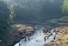 Warga Heboh Temukan Banyak Ikan Mabuk di Sungai Kelingi Lubuk Linggau, Lurah Minta Polisi Selidiki Pelakunya 