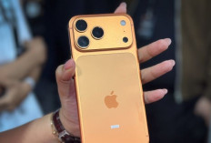 Bocoran iPhone 17 Versi Murah: Kamera Baru, Performa Tinggi, dan Harga Terjangkau