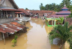 Banjir Muratara, 11.356 Jiwa Terdampak  Ratusan Orang Mengungsi  2 Orang Meninggal Dunia