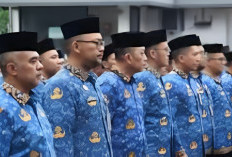 Lolos CPNS Wajib Ketahui! 3 Istilah Penting dalam Pengangkatan, Simak Disini!