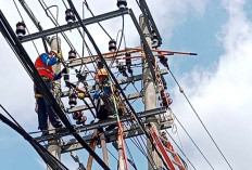 Antisipasi Korsleting, PLN ULP Lubuk Linggau Lakukan Perbaikan Jaringan dan Pemangkasan