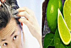 Tampil Keren 2024, Inilah Tips Menggunakan Jeruk Nipis Untuk Mengatasi Masalah Rambut Beruban