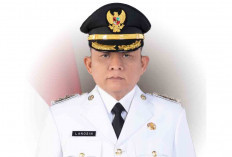 4.257 Honorer Diusulkan jadi PPPK Paruh Waktu, Soal Gaji Begini Penjelasan BPKAD