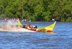 Pompong di Kampung Laut Tanjung Jabung Timur Cocok untuk Wisatawan Budaya 