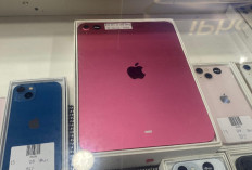 iPad Warna Pink Jadi Incaran, Didominasi Pembeli Kalangan Perempuan hingga Pelajar