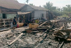 8 Rumah Ludes Terbakar, Kecamatan Gerak Cepat