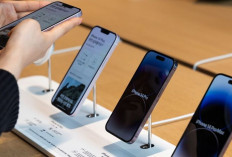 Harga iPhone iPhone 11 hingga iPhone 17 Januari 2026 di iBox 