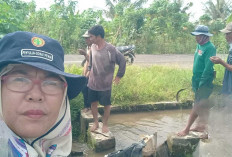 Untuk Mencukupi Kebutuhan Air Petani dan PPL Desa Air Satan Lakukan Pembersihan Saluran Irigasi