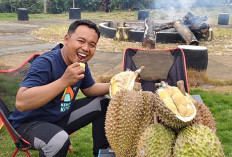 Cuaca Pengaruhi Hasil Produksi Durian, Petani di Musi Rawas Fokus Jaga Kesehatan Tanaman