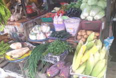 Jelang Nataru 2026 Penjual Jagung di Pasar Satelit Hadapi Kenaikan Harga 