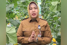 Sebelum dan Sesudah Dipotong, Dispertan Lubuk Linggau Pastikan Keamanan Daging Jelang Lebaran