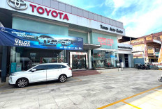 Ingin Berkarier di Dunia Otomotif? TAG Toyota Lubuk Linggau Cari Sales Counter 