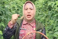 P2B untuk Masyarakat, Dinas Pertanian Lubuk Linggau Bagi Bibit Sayuran Gratis