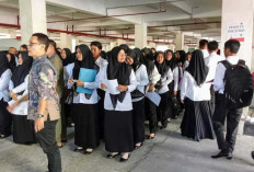 Gara-gara ini, 14 Pelamar Gugur Tes PPPK