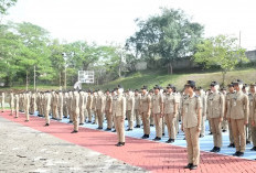 Kuliah Gratis Lulus Jadi CPNS, Mantap Sekali 28 Sekolah Kedinasan Ini, yang Mana Favoritmu?