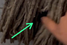 Pelaku yang Memasang Mini Cam di Kantor Sat PolPP Diburu, Semua File Sudah Dihapus