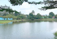 Mampir ke Kota Lubuk Linggau? Yuk Kunjungi Danau Cewot, Ada Fasilitas Bermain Anak-anak di Sini