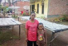 Sekali Produksi Menghasilkan Ratusan Opak