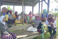 PPL Desa Satan Indah Jaya Gencar Sosialisasi Percepatan Tanam Kepada Petani