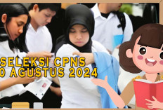 Seleksi CPNS 2024 Resmi Dibuka 20 Agustus Ini Tahapanya yang dilalui Peserta 