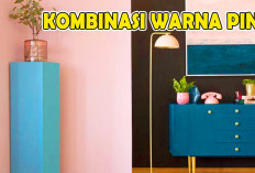 Berani Gunakan Warna Cat Pink di Rumah, Tak Perlu Takut Padukan Kombinasi Warna ini  
