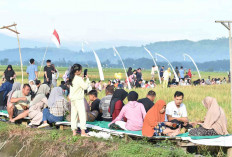 Sensasi Menikmati Menu Tradisional di Mahaloka, Bonus Pemandangan Alam Persawahan dan Perbukitan