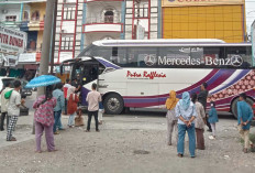 Yang Mau Mudik Idul Fitri 2026, ini Tarif PO Putra Raflesia dari Kota Lubuk Linggau  