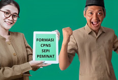 Cek! Ini 12 Kementerian, Lembaga dan Pemerintah Daerah Sepi Pelamar di CPNS 2024