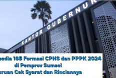 Tersedia 185 Formasi CPNS dan PPPK 2024, di Pemprov Sumsel Buruan Cek Syarat dan Rinciannya