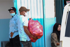 Sajikan Menu MBG Roti Berjamur dan Lauk Basi, 47 Dapur SPPG Disuspend BGN